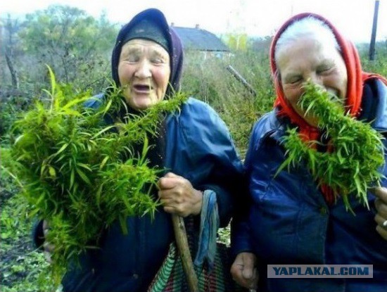 Дело труба!