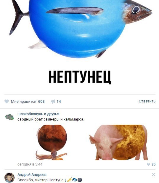 Ужасы и приколы из соцсетей 18+