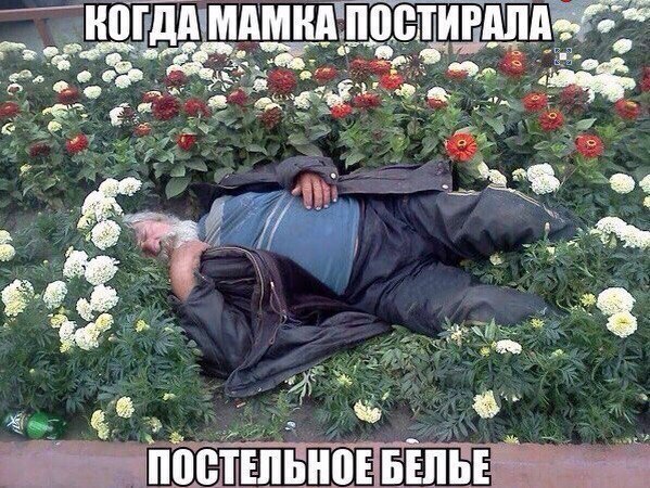 Сбитый пиксель.vol. 7