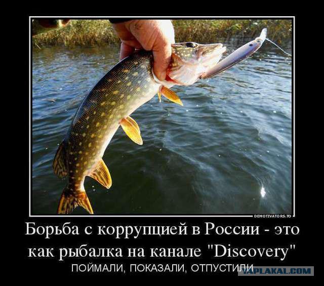 Борьба с коррупцией в Рф
