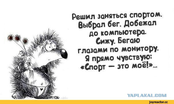Подборка перлов и высказываний