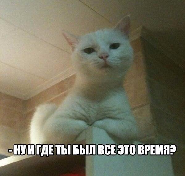 Картинки для поднятия настроения