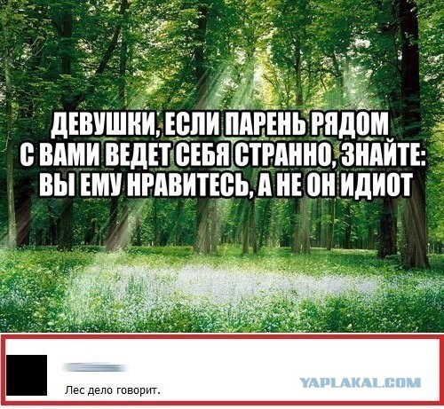 Забавные комментарии, шутки и фразы из этих ваших интернетов