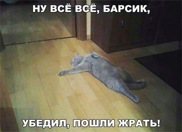 100 картинок для поднятия настроения!