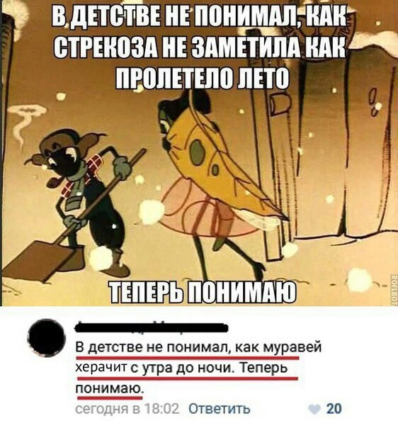 Смешные комментарии из социальных сетей 20.10.2017