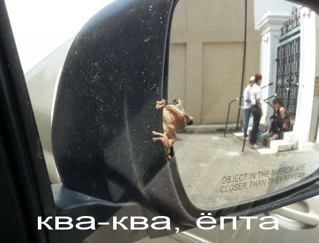 Подборка интересных и веселых картинок