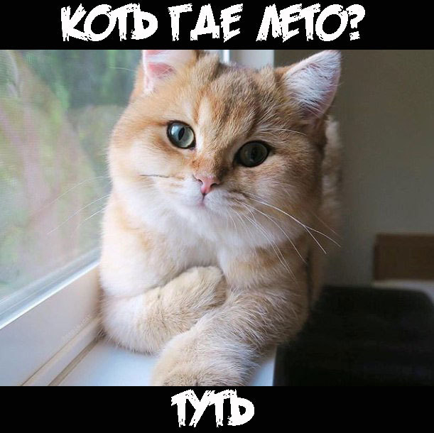 Приколы в стиле "регресс"