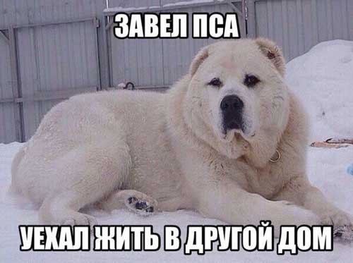 Отдыхаем от работы, в картинках без политоты.