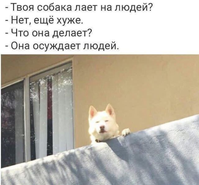 Нестандартный юмор