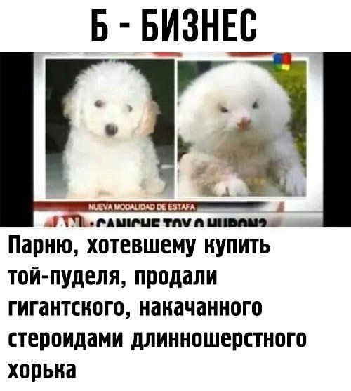 Нестандартный юмор