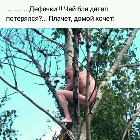 Не очень адекватный юмор