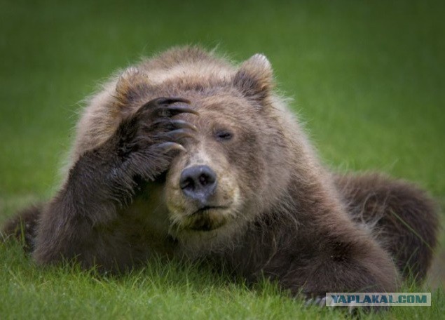 Школьница выдала себя за проститутку, а после написала заявление на двух парней