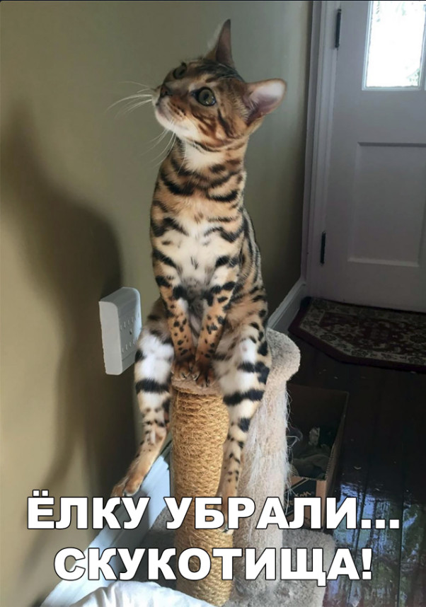 Нестандартный юмор