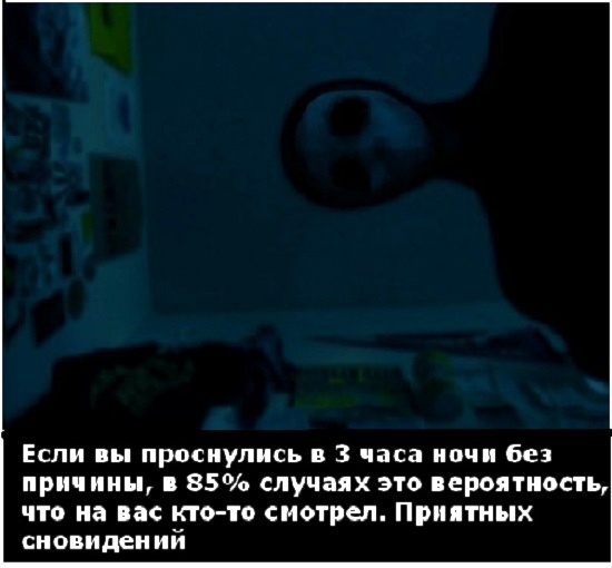 Анекдоты, соц-сети, истории и картинки с надписями
