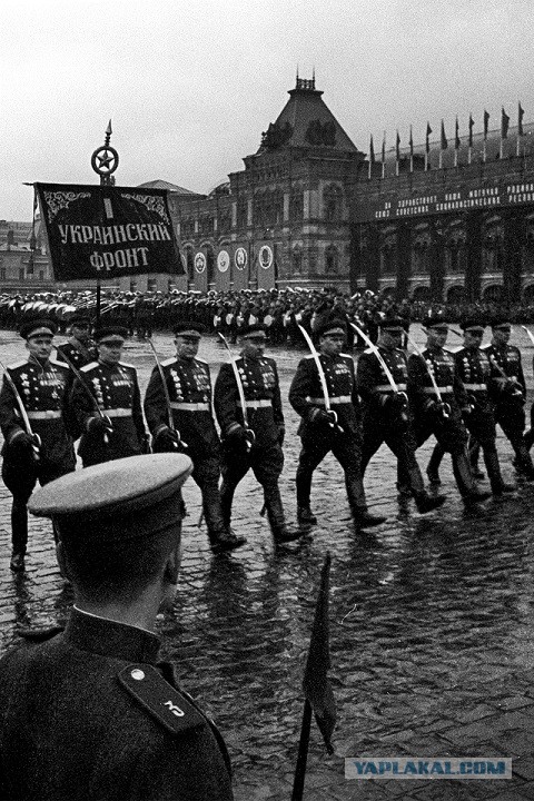 Тут девушка объясняет, почему георгиевскую ленточку неправильно назвали