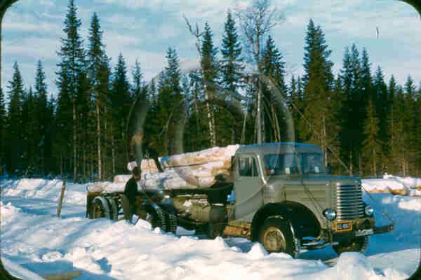 Игра на ЯПе: Угадай АВТО-3