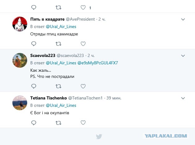 Прямой репортаж ЯПовца с места вынужденной посадки А321 "Уральских авиалиний" в Подмосковье