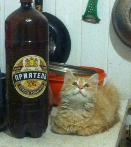 Бредзона 12.01.20