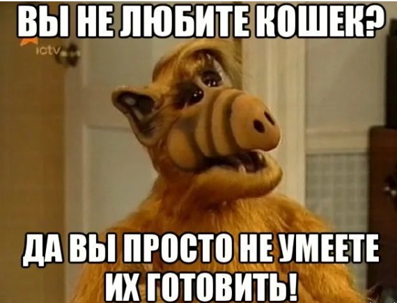 15 причин никогда не жениться
