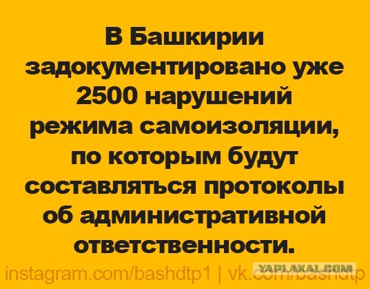 Вышел по хлеб да по молоко