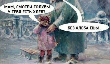 Две юные барышни в Краснотурьинске поймали голубя и как ромашку его, где вместо лепестков перья