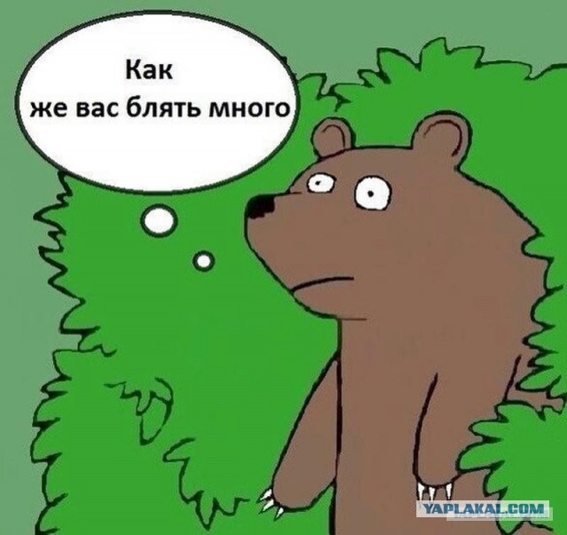 Ну вот как можно быть такой дурой? В смысле "То ли зураб, то ли заур... ой, помогите люди девушке..."