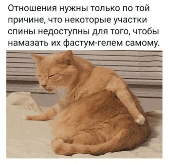 Юмор в картинках 2.11.20