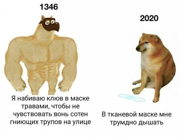 Бредзона 06.11.2020