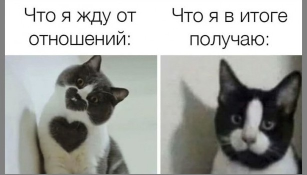 Картинки с надписями и всякие жизненные фразы 21.11.20