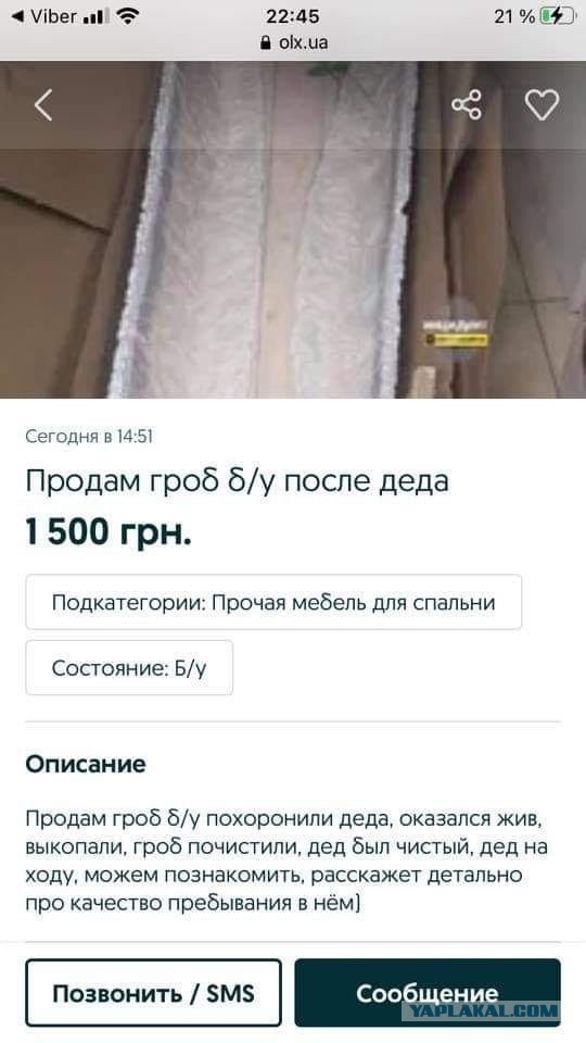 Бредзона 25.12.20