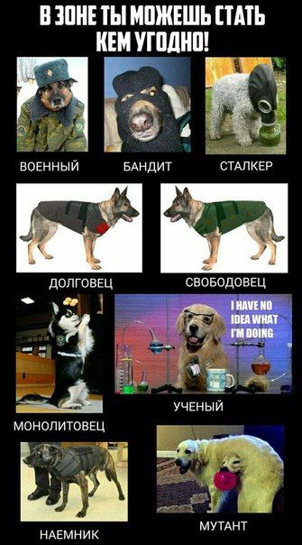 Декабрьский пикчемёт