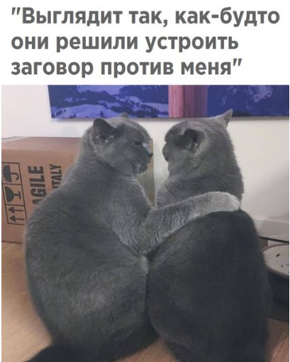 Картинки с надписями и всякие жизненные фразы 23.1.21
