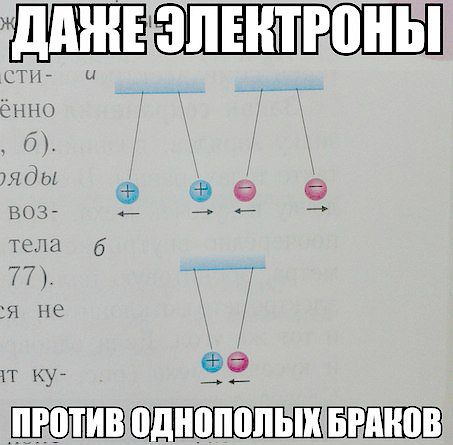 Немного разностей, шалостей и пушистостей