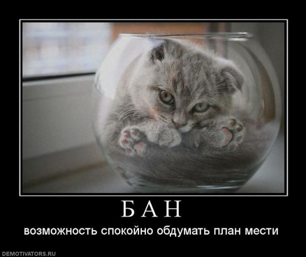 (G)old 2
