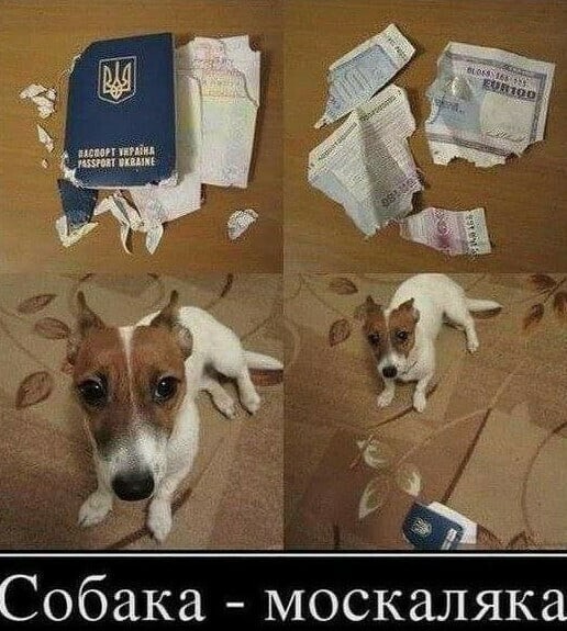 "Запоминай и повторяй"