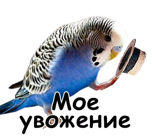 7 самых щедрых меценатов в современной России