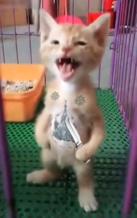 Такусечки, блэтушки!