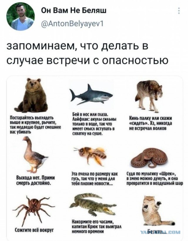 Картинки и мемы для настроения 09.06.2021