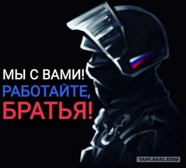 "Мусора - красно-серые фуражки, мусора - уголовные замашки..." (Из песни)