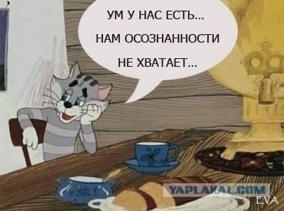 Аватарки мужиков за 40