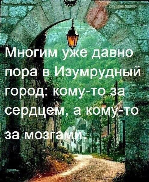 Всяческие картинки 02.11.2021