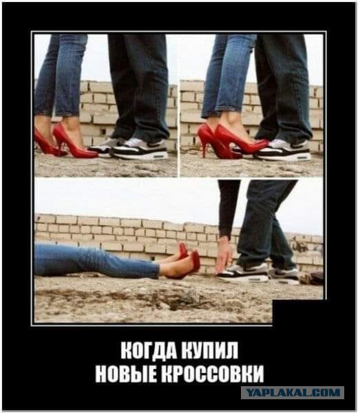 Весёлый полтишок 01.02
