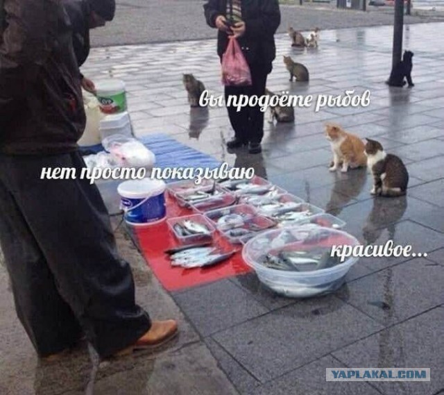 Рыболовства пост