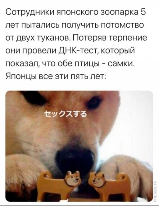 Баянисто-небаянистый юмор 1.08.22