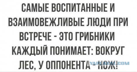 Деградация лайт 13.10.2022