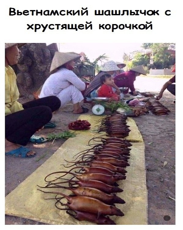 Прикольные и просто красивые картинки 11.11.2022