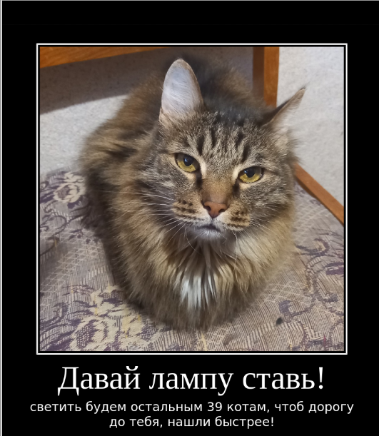Все просто, девушка ищет парня. Но... у нее есть "несколько" требований
