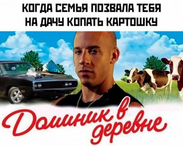Не бейте баяниста - играет, как может