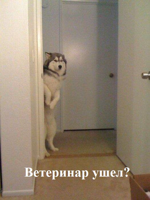 Прикольные и просто красивые картинки 23.12.2022