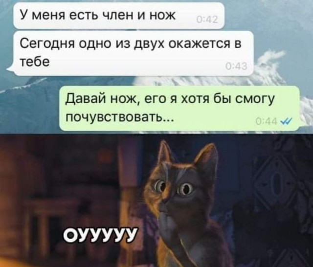 Весёлый полтишок 11.01.23